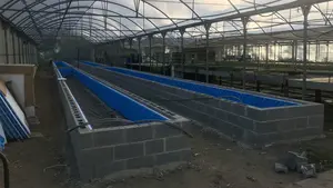 Pamplona estrenará un secadero de plantas en Aranzadi con melisa y otras hierbas aromáticas