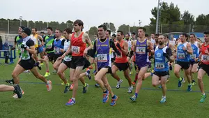 El parque de Los Llanos de Estella ser&aacute; protagonista este domingo del campeonato navarro de cross largo