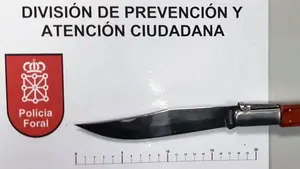 Armas, peleas y violencia de g&eacute;nero: 10 detenidos en un intenso fin de semana para la Polic&iacute;a Foral