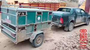 Hallan 23 perros hacinados en el interior de un remolque que conducía un hombre drogado por Olite