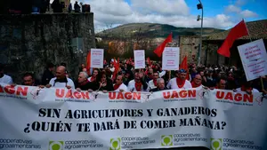 'A San Fermín pedimos': agricultores y ganaderos navarros piden al Santo que les eche su 'capotico'