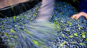 La simpática campaña del pacharán navarro: "Tómatelo con..." incide en valores como la amistad y la familia