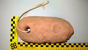 Importante hallazgo: un vecino de Cortes encuentra durante una excavación una pieza de la Edad de Hierro