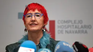 Induráin dice que los datos de Navarra son "optimistas" tras marcar un nuevo récord en positivos diarios