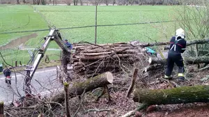 Muere un hombre tras caerle un árbol encima y quedar atrapado durante un día