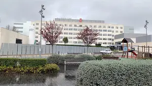 El nuevo positivo por coronavirus en Navarra es una vecina de Pamplona de 27 años con síntomas leves