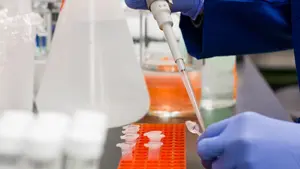 Subidón en los casos diarios de coronavirus en Navarra: la pandemia ya deja 1.197 casos positivos