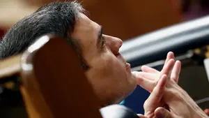 Sánchez advierte a los españoles que los sacrificios sociales y económicos "apenas han comenzado"