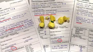 Sancionada una anciana en Villafranca por enseñar sus partes íntimas a la policía y portar speed "para la nieta"