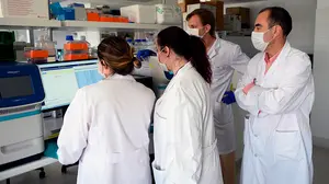 Factura psicológica en médicos navarros por saber que algunos de sus pacientes no entrarán en las UCI