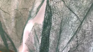 Un sindicato denuncia la falta de medidas de protecci&oacute;n para el personal del centro de salud de Cascante