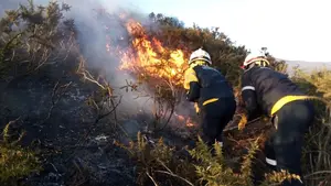 Navarra se prepara para la campaña de verano contra los incendios forestales con 150 efectivos más
