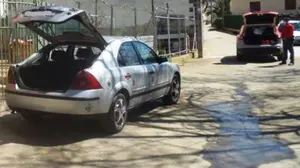 Un hombre desafía la cordura poniéndose a descuartizar un cerdo en mitad de una calle de Lerín