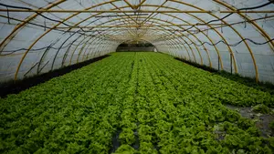 Los 15 restaurantes navarros en los que puedes probar manjares con productos de la huerta