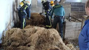Unos 250 terneros en peligro: sofocan un incendio de unas pacas de paja en una granja de Cadreita