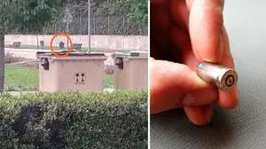 Un disparo de la policía en la persecución de un jabalí en Peralta rebotó e impactó contra la ventana de un domicilio