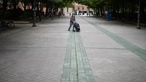 En busca de consenso: Pamplona suspende la licitación de las obras para reurbanizar el Paseo de Sarasate