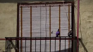 Pamplona controlará la sobrepoblación de las palomas: en algunos puntos de la ciudad ya son una plaga