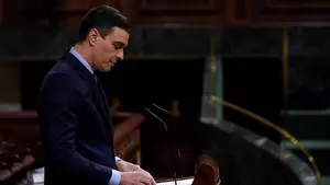Pedro Sánchez cede ante PNV y Ciudadanos para prorrogar el estado de alarma hasta el 23 de mayo