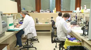 Varios investigadores comprueban que la heparina puede ser eficaz para combatir el coronavirus