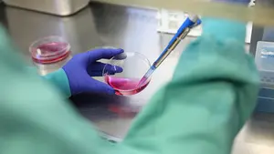 Navarra participa en tres programas de medicina de precisión dotados con 26 millones: estas áreas investigan