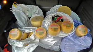 A la caza del ladrón lácteo: imputan a un vecino de La Rioja por robar en Navarra quesos valorados en 3.000€