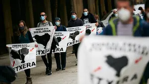 Llaman a la "movilización" en Pamplona para traer a los presos etarras a "casa"