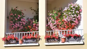 Una localidad de la cuenca de Pamplona premia a los balcones mejor adornados con flores por los sanitarios