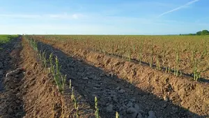 Impulso a la agricultura y ganadería ecologíca de Navarra: autoirzan una subveción de 225.000 euros