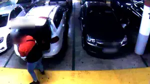 Imputado un joven de 20 a&ntilde;os por robar en el interior de dos coches en un centro comercial cerca de Pamplona