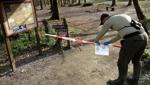 Proteger la naturaleza navarra: así trabajan los 'guardas' de Medio Ambiente durante el estado de alarma