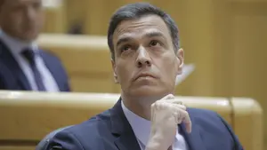 Pedro Sánchez vuelve a mentir sobre Navarra: "Gracias al voto del PSN, UPN gobierna en Pamplona"