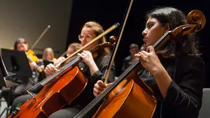 Convocan audiciones 'online' para ingresar en una famosa orquesta sinfónica de Navarra