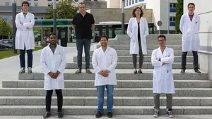 Investigadores navarros identifican un compuesto que previene la muerte neuronal que afecta al ELA