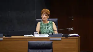 Bildu fracasa en su intento de que Navarra no sancione a los ciudadanos que desobedecen a la policía