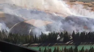 Un incendio en C&aacute;seda obliga a la intervenci&oacute;n de dos helic&oacute;pteros y un avi&oacute;n, y acaba quemando 24 hect&aacute;reas