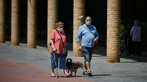 El Gobierno foral alerta del "momento delicado y decisivo" de la pandemia: "Nos jugamos el curso y más fallecidos"