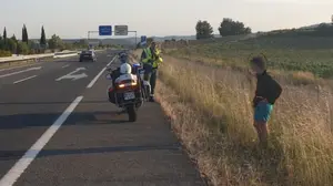 Hallan a un joven desorientado vagando por un arcén de la autovía del Camino a la altura de Legarda
