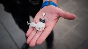 Pillado por polic&iacute;as de paisano en Pamplona: un menor arrestado por traficar con hach&iacute;s en la v&iacute;a p&uacute;blica