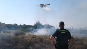 Cuatro camiones, un helicóptero y una avioneta: el despliegue que ha extinguido un incendio en Viana