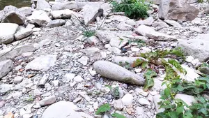 Encuentran una granada explosiva de mortero cerca del cementerio municipal de Pamplona