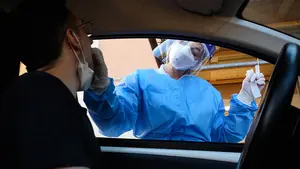 Los brotes en áreas de la Ribera y en Leitza protagonizan los mayores aumentos de Navarra