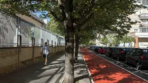 Pamplona reformará un tramo del carril bici de la calle Julián Gayarre y realizará mejoras en otros 34 puntos