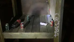 Casi 80 personas y 6 locales denunciados en Pamplona por incumplir las normas