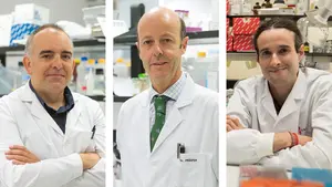 Navarra lidera una investigación mundial que abre la puerta a vencer un agresivo cáncer en la sangre