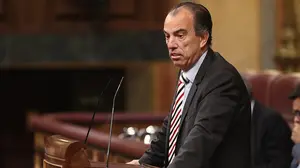 Adanero denuncia en el Congreso que los navarros tengamos que "volver a sufrir que se nos denigre con nuestros s&iacute;mbolos"