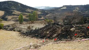 Controlado el incendio de Lónguida y la Policía Foral localiza el punto de inicio y la causa del fuego
