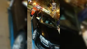 Detenido un vecino de Burlada por falsear la documentación de un coche supuestamente robado en Francia