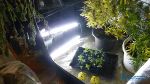 Escondía kilos de droga y una pistola en casa: detenido un joven narcotraficante en la Rochapea