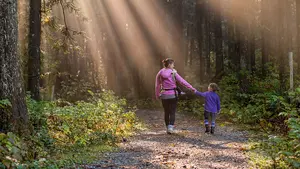 Una asociación forestal pone en valor los bosques navarros en una jornada